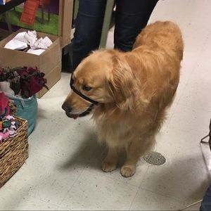 Meet your Posher, Meaghan